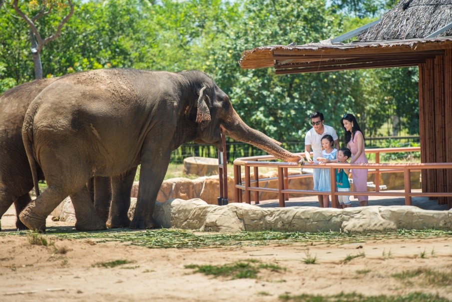 Một ngày vào vai “nhà động vật học” giữa “thiên đường hoang dã” Vinpearl Safari - Ảnh 3.