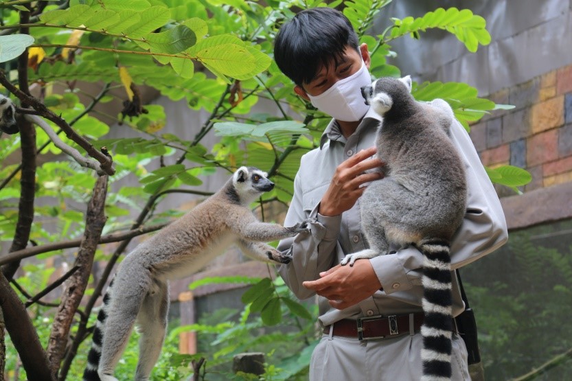 Một ngày vào vai “nhà động vật học” giữa “thiên đường hoang dã” Vinpearl Safari - Ảnh 4.