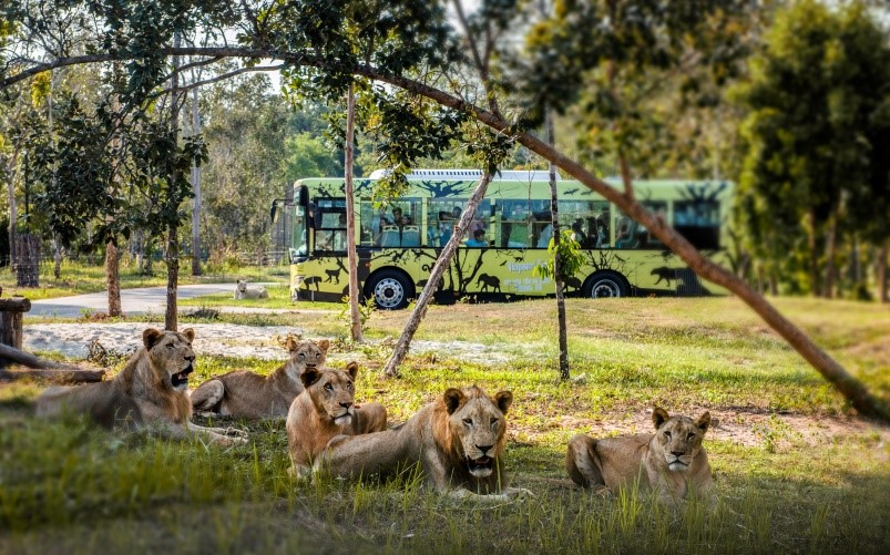 Một ngày vào vai “nhà động vật học” giữa “thiên đường hoang dã” Vinpearl Safari - Ảnh 6.