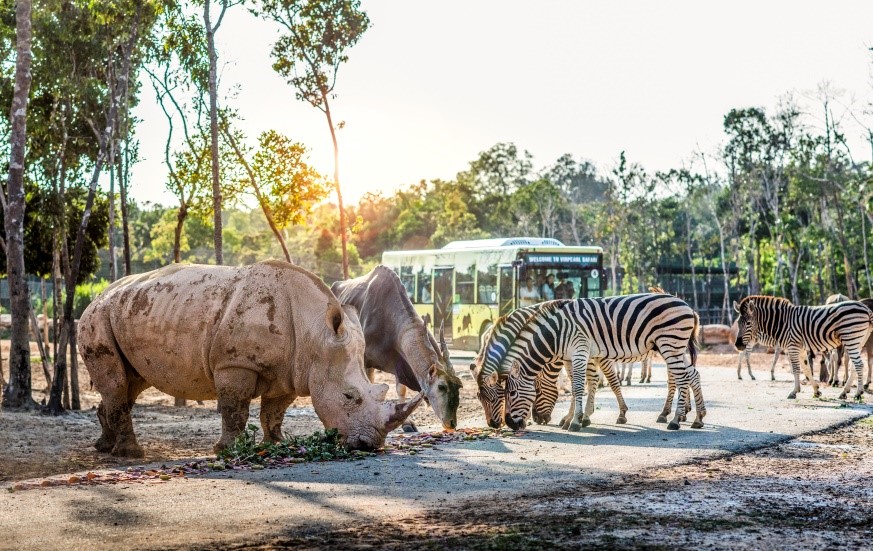Một ngày vào vai “nhà động vật học” giữa “thiên đường hoang dã” Vinpearl Safari - Ảnh 7.
