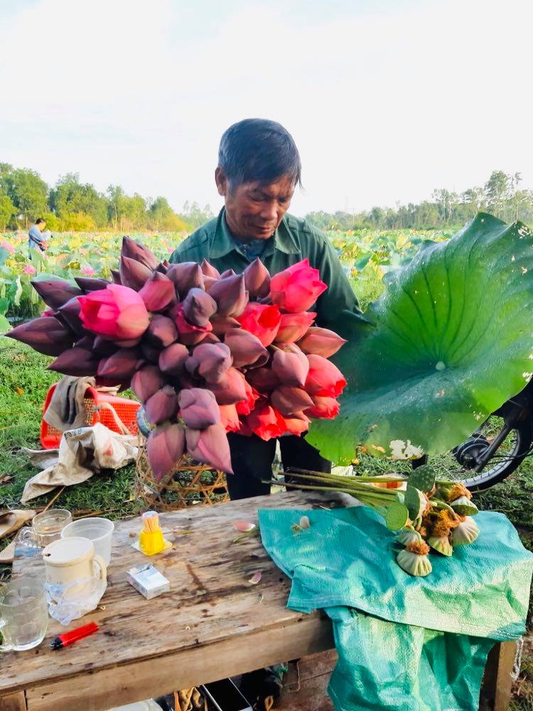 Huế: Nông dân Việt Nam xuất sắc 2021 là một ông nông dân nhân ái, giỏi trồng sen, chơi đàn ghi ta hay nhất vùng - Ảnh 4.