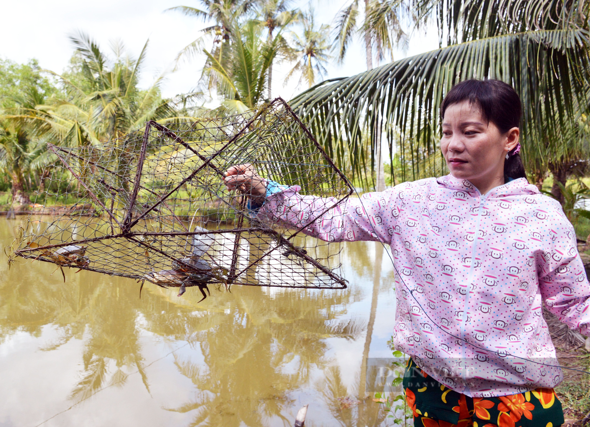 Cà Mau: Ngày hội cua Năm Căn hứa hẹn tạo điểm nhấn, phục hồi du lịch - Ảnh 4.