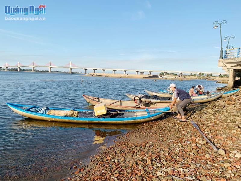 Con don là loài gì, sống ở đâu mà dân Quảng Ngãi bắt lên bán làm hàng đặc sản? - Ảnh 3.