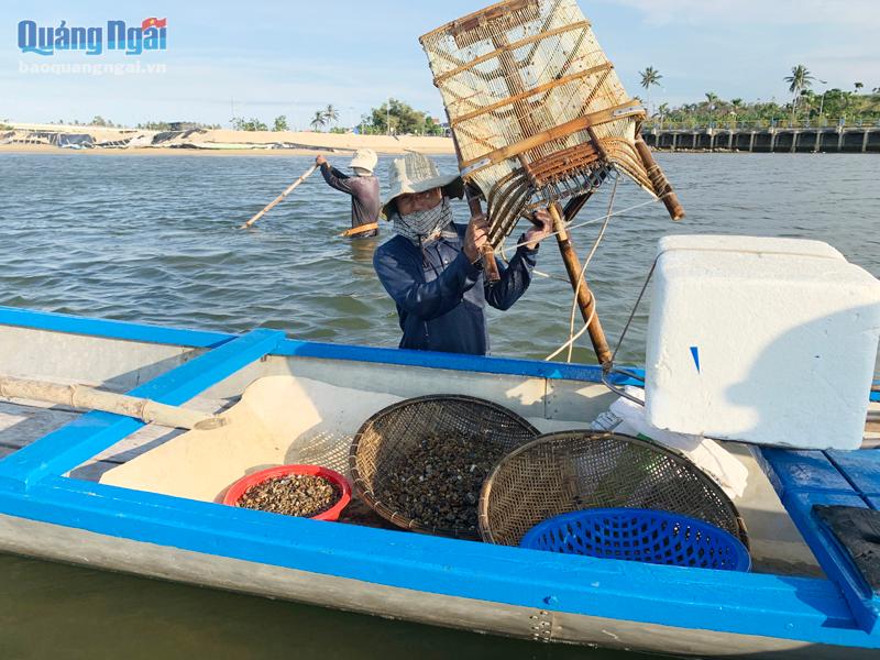 Con don là loài gì, sống ở đâu mà dân Quảng Ngãi bắt lên bán làm hàng đặc sản? - Ảnh 4.