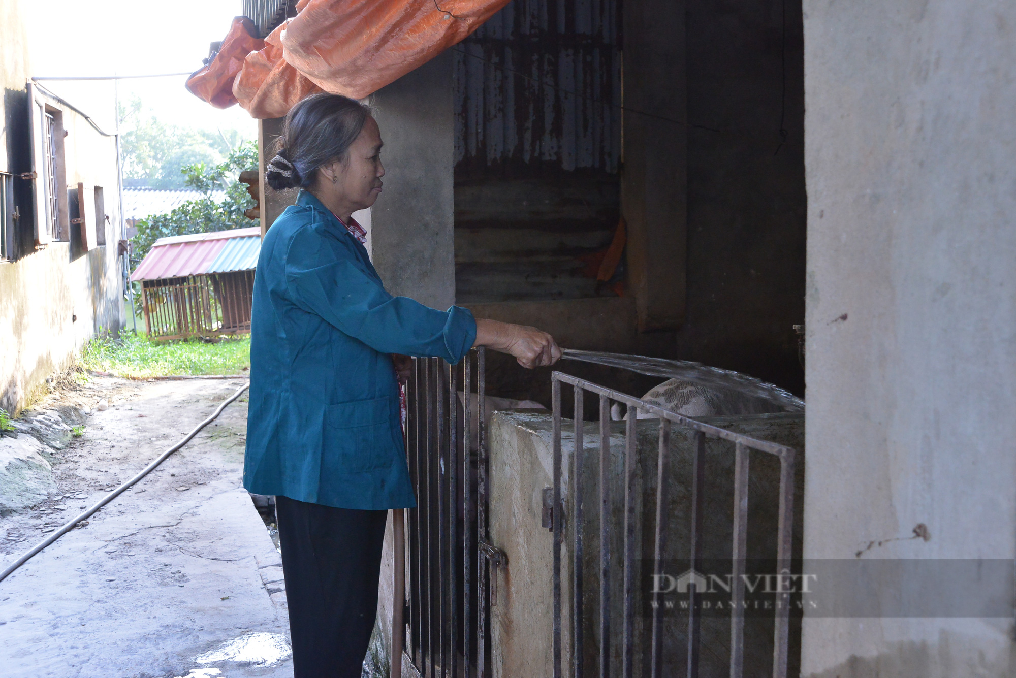 Bộ trưởng Lê Minh Hoan: Kích thích liên kết chăn nuôi, nếu giá lợn giảm thì còn vịt, trái cây - Ảnh 7.