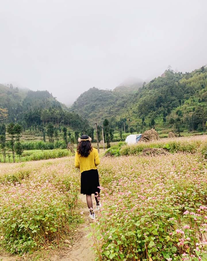 Hà Giang: Tháng 10 mê mẩn vườn hoa tam giác mạch, du khách ngoại tỉnh đến không cần giấy xét nghiệm - Ảnh 1.