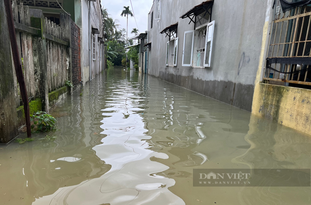 Quảng Ngãi: Kinh hoàng mưa ngập, 3 người dân đã bị nước cuốn mất tích  - Ảnh 3.