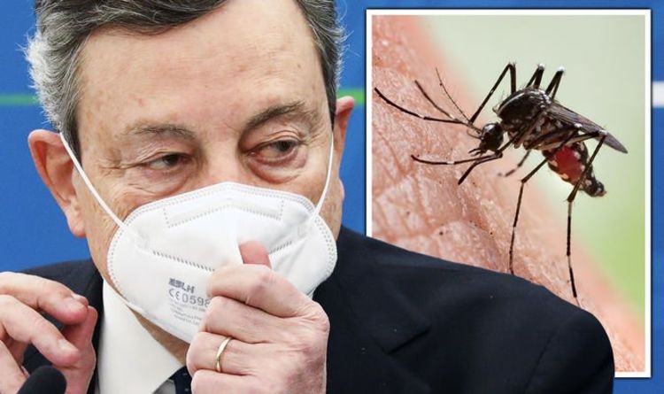 Các quan chức y tế lo ngại &quot;muỗi ngoài hành tinh&quot; đang xâm chiếm nước Ý - Ảnh 1.