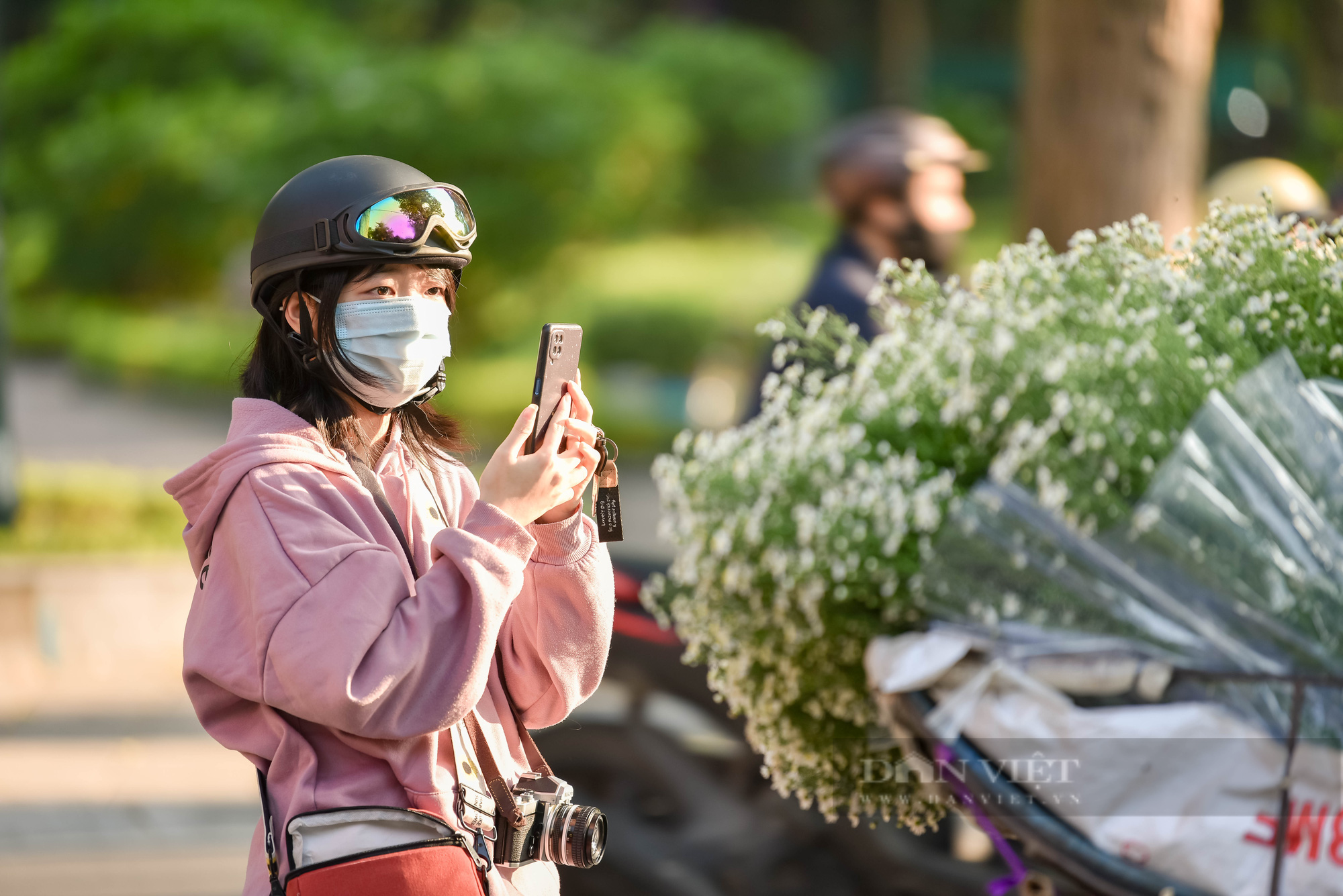 Cúc họa mi đem đông về trên phố phường Hà Nội - Ảnh 9.