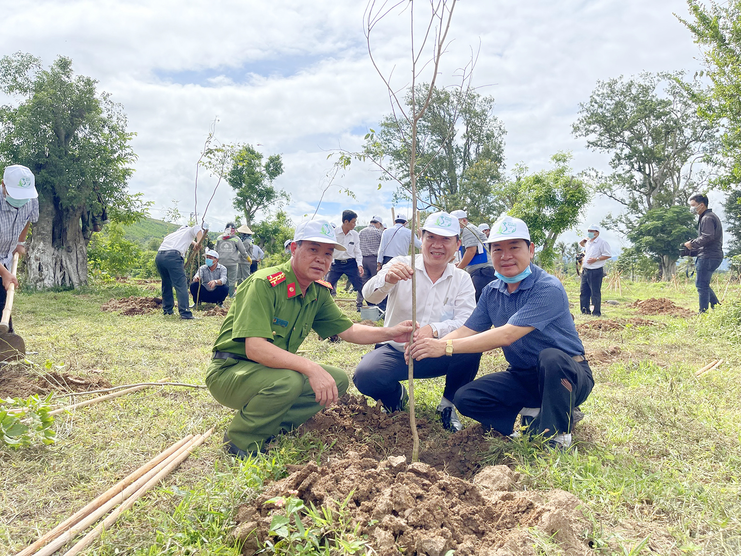 Agribank tặng cây giống trị giá 1 tỷ đồng cho tỉnh Gia Lai trồng cây xanh ở 17 huyện thị - Ảnh 2.