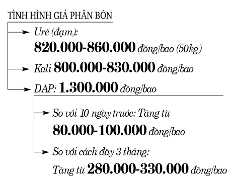 Giảm lượng phân bón - đòi hỏi tất yếu của sản xuất (bài 1): Nông dân lo “vụ lúa ăn chắc” - Ảnh 3.