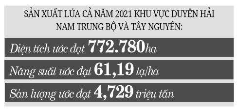 Linh hoạt thời vụ sản xuất để né thiên tai - Ảnh 1.