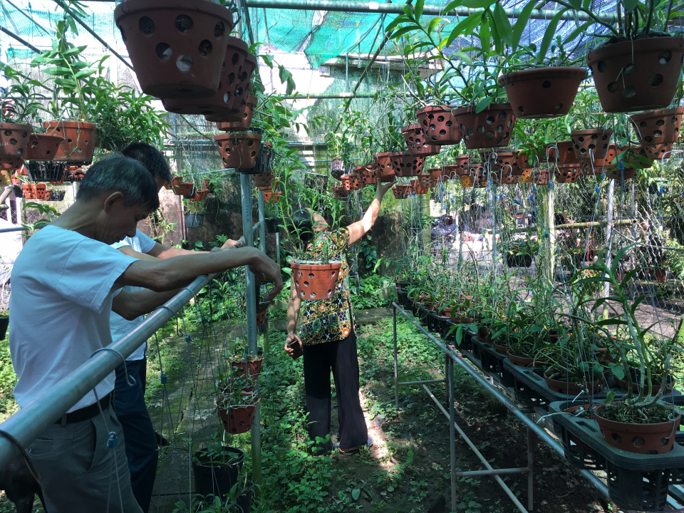 Thái Bình: Bà nông dân trồng hoa lan rừng mà thành tỷ phú, có giò hoa lan quý hiếm giá 200 triệu - Ảnh 7.