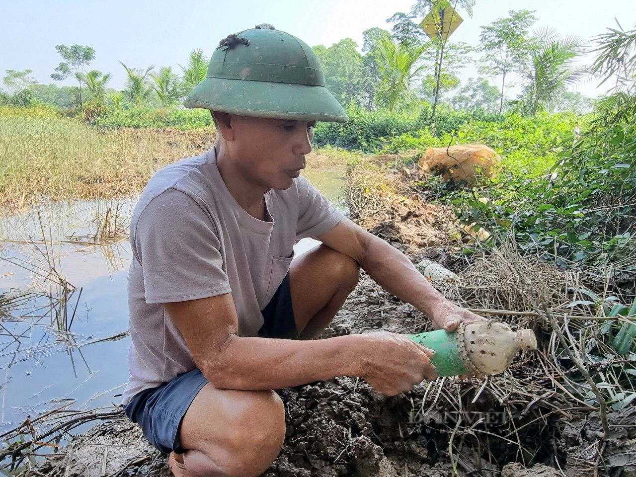 Thanh Hóa: Săn con cáy lông dọc hai bờ sông Mã, bán gần nửa triệu đồng - Ảnh 4.