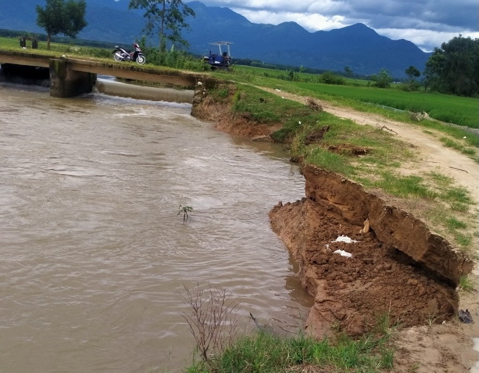 Bình Thuận: Mưa lớn gặp lúc hồ xả lũ hàng nghìn ha đất nông nghiệp bị ngập, thiệt hại hơn 15 tỷ đồng - Ảnh 1.