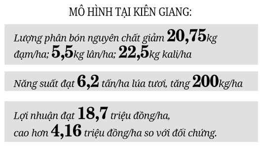 Giảm lượng phân bón - đòi hỏi tất yếu của sản xuất (bài 3): Canh tác thông minh, năng suất tăng - Ảnh 2.