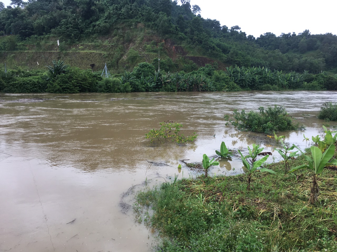 Bình Thuận: Mưa lớn gặp lúc hồ xả lũ hàng nghìn ha đất nông nghiệp bị ngập, thiệt hại hơn 15 tỷ đồng - Ảnh 2.