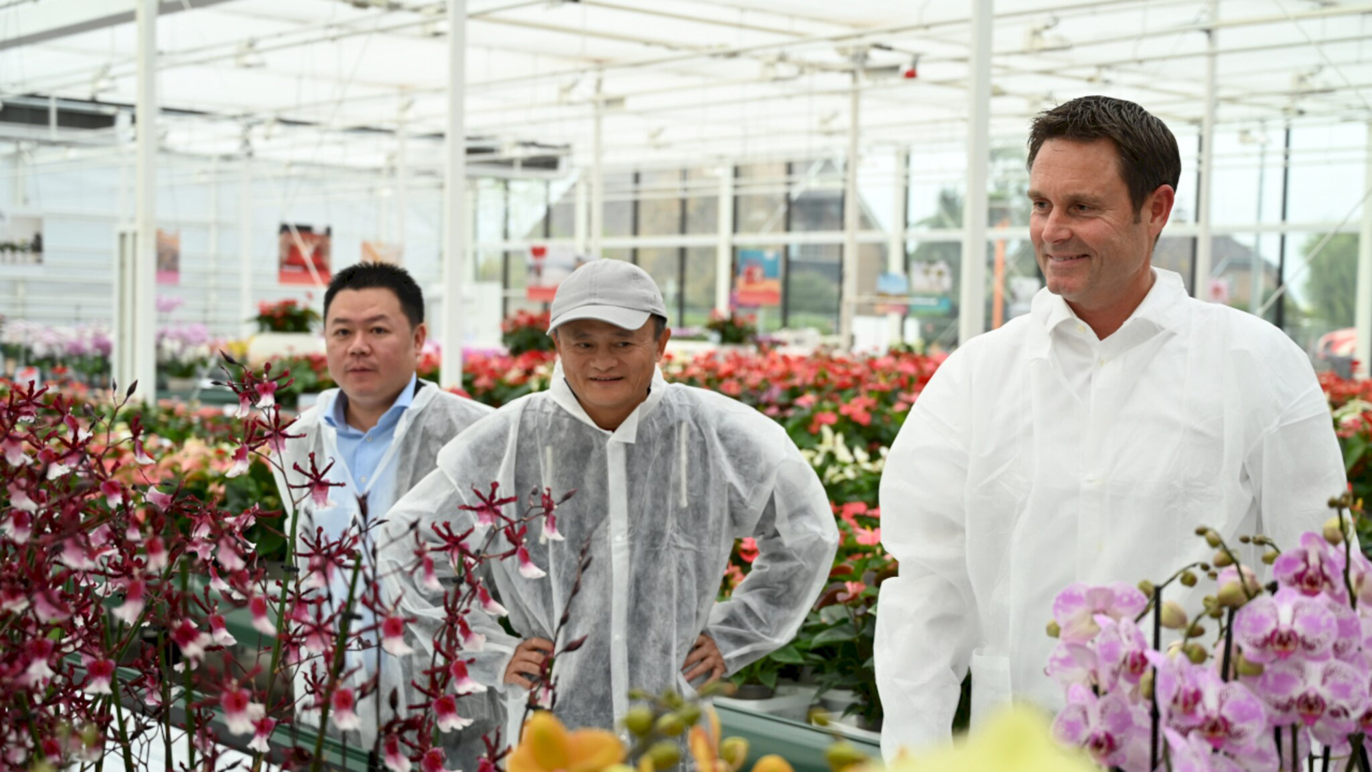 Jack Ma, người sáng lập Alibaba (giữa) thăm công ty hoa Hà Lan Anthura. Giám đốc thương mại Marco van Herk bên phải. Ảnh: @AFP.