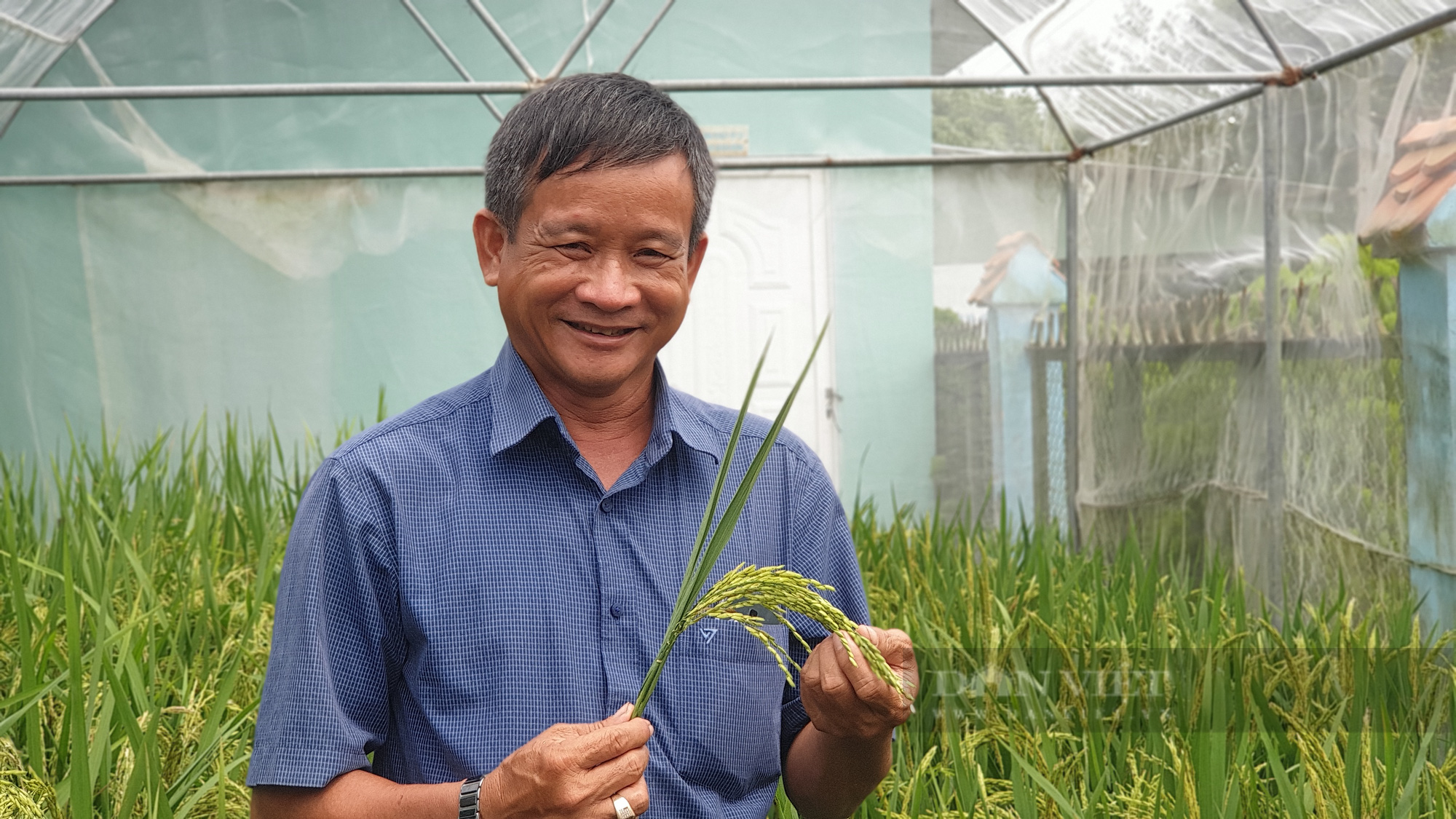 Nông dân xuất sắc 2021 ở Đồng Tháp là ông nông dân lai tạo giống lúa có dinh dưỡng rất cao - Ảnh 1.