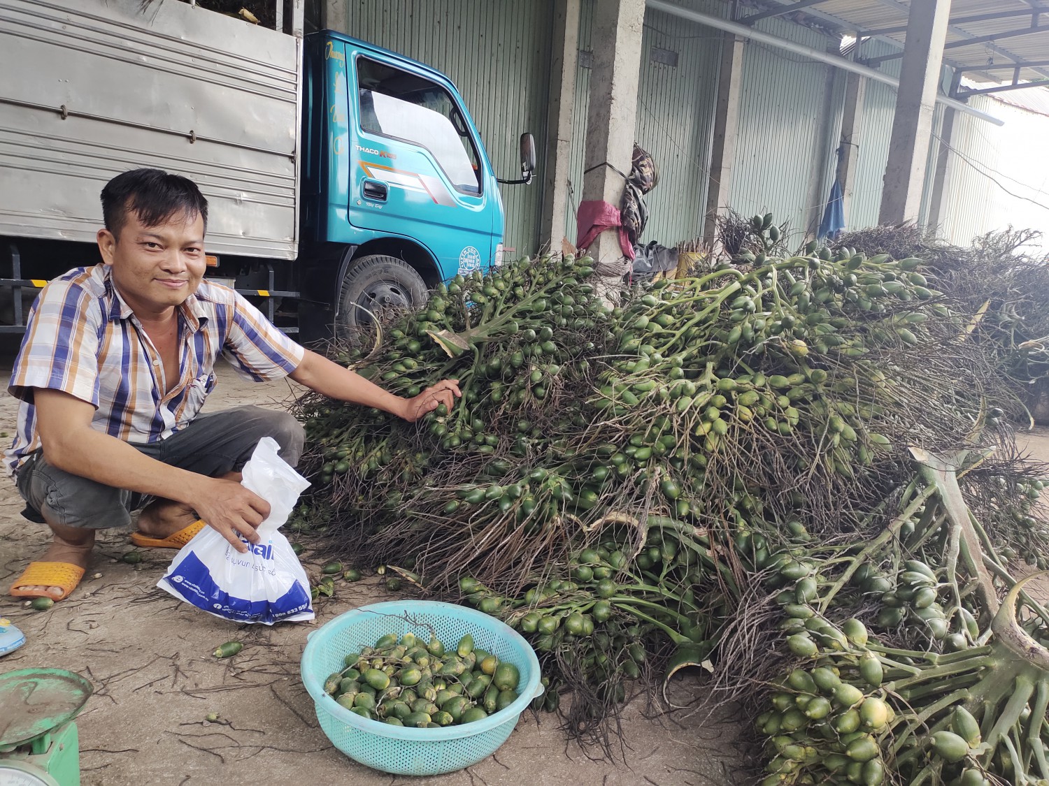 Giá cau tươi mới nhất vẫn cao ngất nhưng Cục Trồng trọt lại khuyến cáo không nên ham trồng nhiều - Ảnh 1.