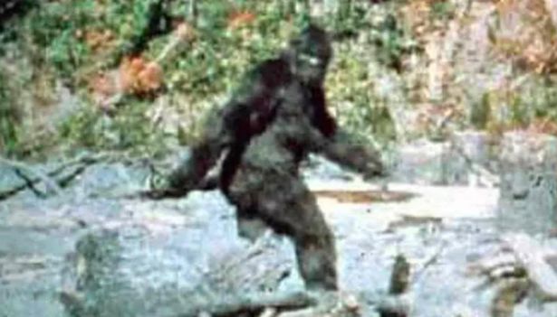 Trải nghiệm kinh hoàng của người đàn ông bị quái vật Bigfoot truy đuổi - Ảnh 1.