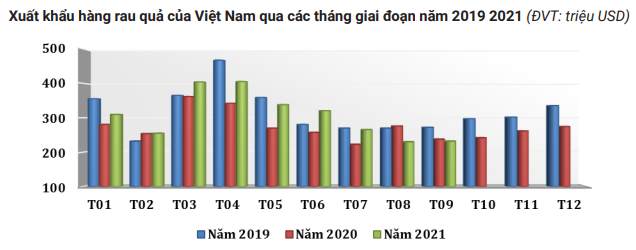Giá tăng vọt, xuất khẩu rau quả của Việt Nam sang Trung Quốc sẽ thế nào? - Ảnh 2.