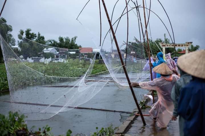 Kể chuyện làng: Mùa lụt – cất cá ở quê tôi - Ảnh 2.