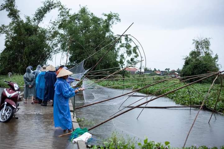 Kể chuyện làng: Mùa lụt – cất cá ở quê tôi - Ảnh 3.