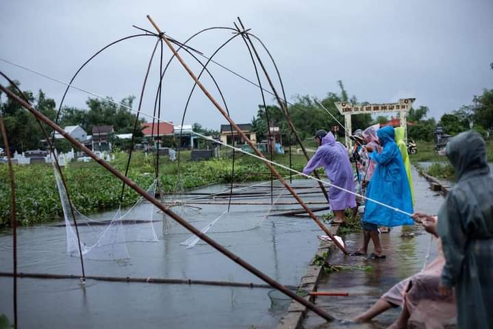 Kể chuyện làng: Mùa lụt – cất cá ở quê tôi - Ảnh 4.