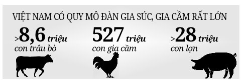 Khơi thông tiêu thụ, ngành chăn nuôi sẽ phục hồi - Ảnh 4.