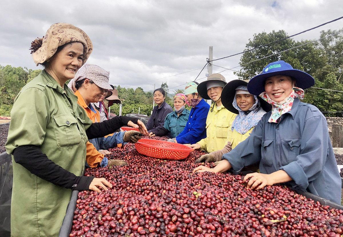 Nâng cao vai trò của Hội Nông dân Việt Nam trong việc hỗ trợ nông dân khởi nghiệp, sáng tạo - Ảnh 1.