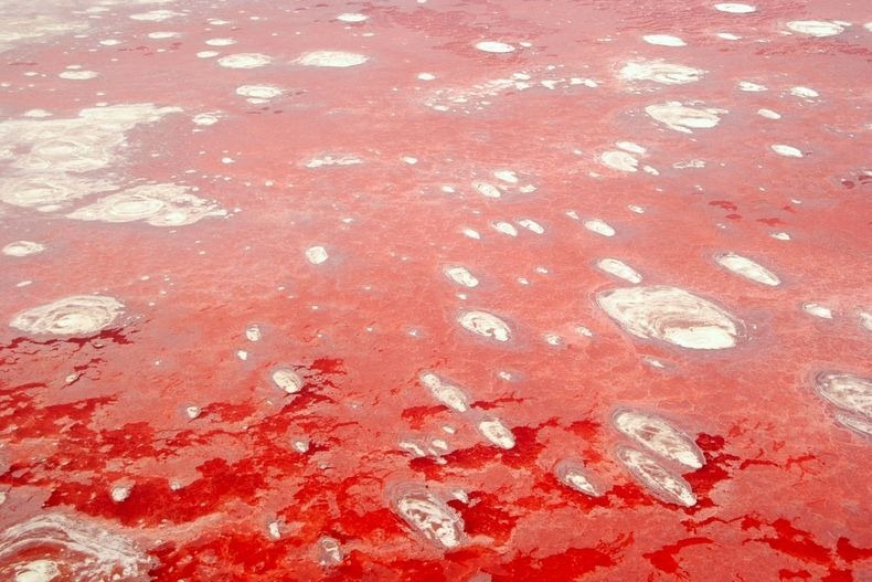 Kỳ bí hồ nước đỏ như máu, chim lao xuống biến thành đá: Hóa thân của Medusa? - Ảnh 4.