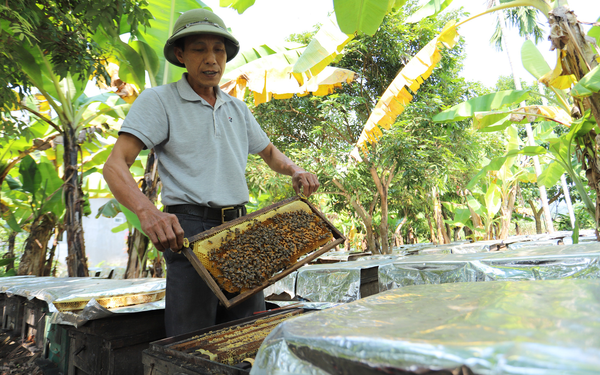 Tuyên Quang: Kinh tế khởi sắc, An Khang sẽ về đích nông thôn mới nâng cao vào cuối năm 2023