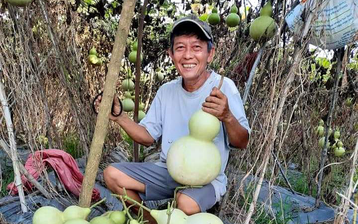 Tây Ninh: Ông nông dân "hô biến" loại quả thắt đáy lưng ong thành hàng loạt sản phẩm nghệ thuật, cả làng mê tít