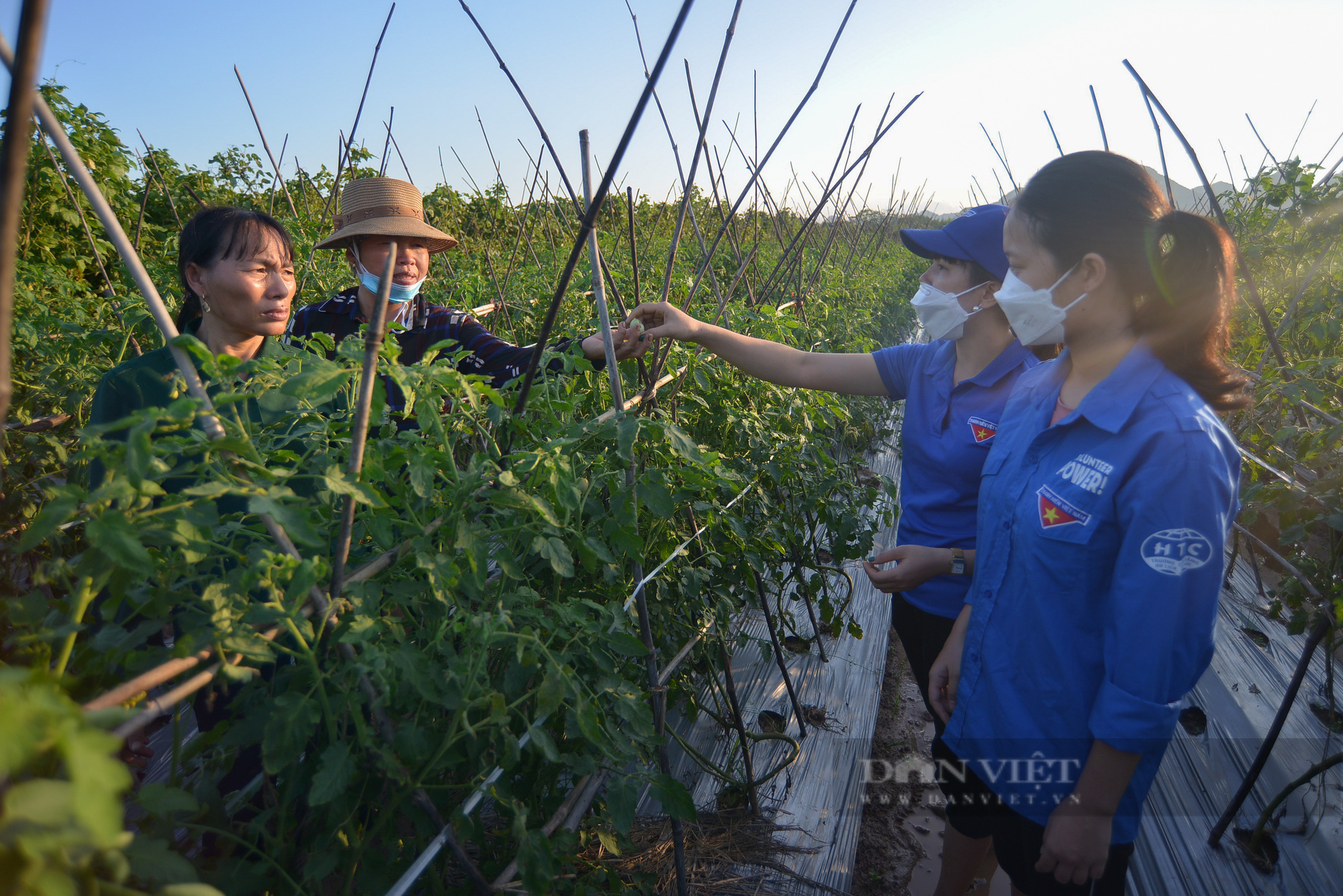 Nữ đảng viên “tiếp lửa” cho thanh niên làm giàu trên chính quê hương chính mình - Ảnh 8.