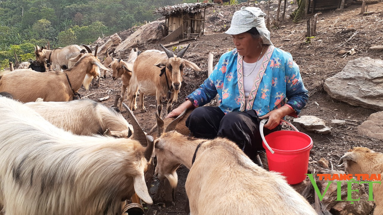 Hội Liên hiệp Phụ nữ tỉnh Sơn La: Hỗ trợ phụ nữ phát triển kinh tế, giảm nghèo bền vững - Ảnh 2.