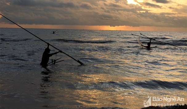 Ngư dân Nghệ An dầm sóng 'săn' hàng tấn ruốc biển mỗi ngày - Ảnh 1.