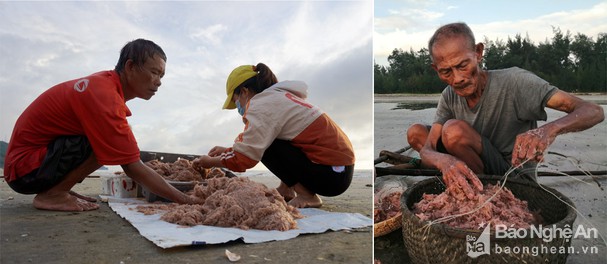 Ngư dân Nghệ An dầm sóng 'săn' hàng tấn ruốc biển mỗi ngày - Ảnh 3.