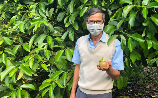 Lâm Đồng: Trồng vườn cây đặc sản, mới hái trái từ 250 cây mà một nông dân đã thu 500 triệu