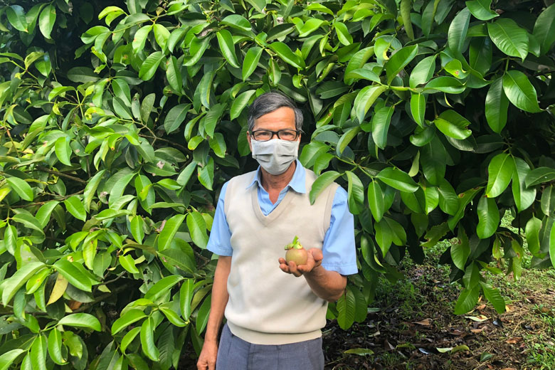 Lâm Đồng: Trồng vườn cây đặc sản, mới hái trái từ 250 cây mà một nông dân đã thu 500 triệu - Ảnh 1.