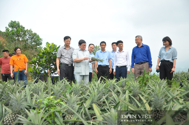 786 chuỗi cung ứng thực phẩm giữa Hà Nội và 21 tỉnh, thành phố,  - Ảnh 5.