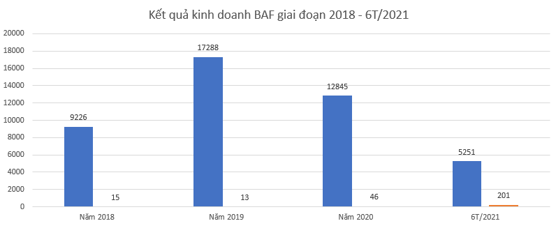 BAF bị nghi ngờ &quot;làm đẹp&quot; báo cáo tài chính trước thềm niêm yết  - Ảnh 2.