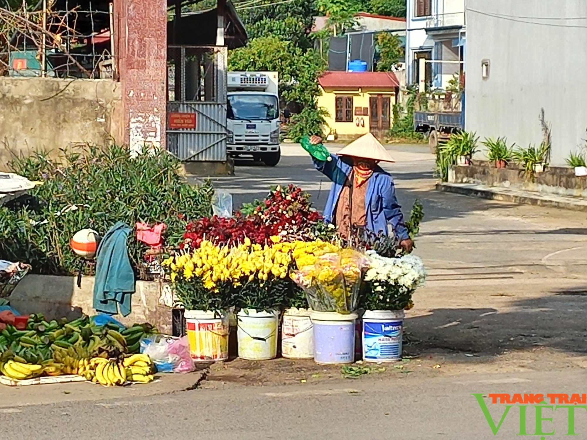 Nông dân Tây Bắc: Người trồng hoa ở Sơn La phấn khởi vì giá bán hoa tăng đột biến - Ảnh 9.