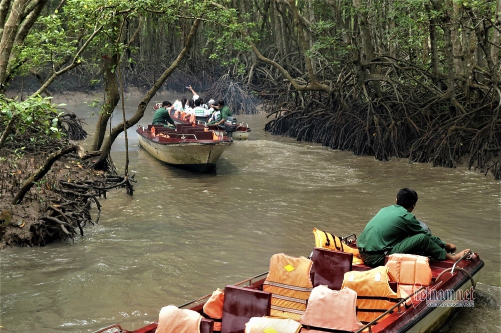 Cuối tuần này, &quot;vùng xanh&quot; Sài Gòn mở lại tour đón khách du lịch - Ảnh 3.