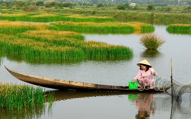 Rủ nhau nếm thử “lộc trời” ở Bạc Liêu - Ảnh 2.