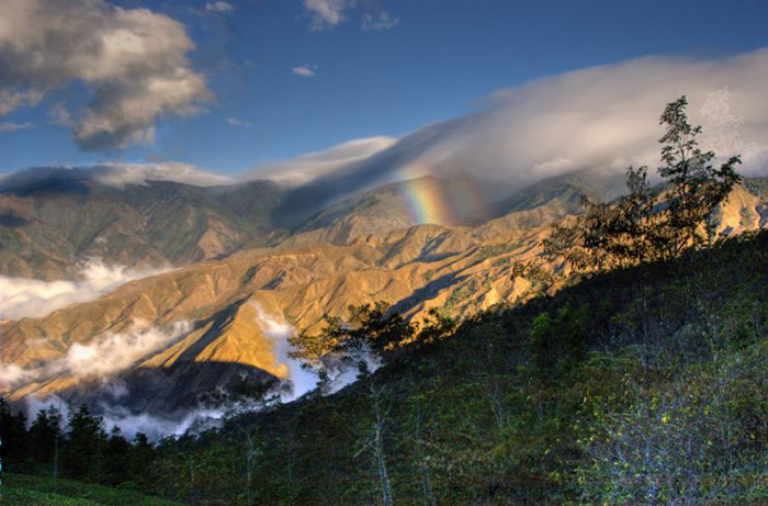 Costa Rica: Tuyến đường ám ảnh xuyên rừng mây lên “Núi Chết chóc” bí hiểm - Ảnh 6.
