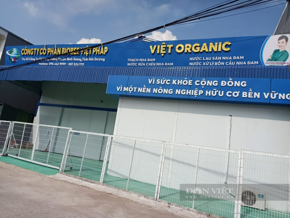 Hải Dương: Mô hình phủ xanh nha đam có được các cấp có thẩm quyền xác nhận?  - Ảnh 3.