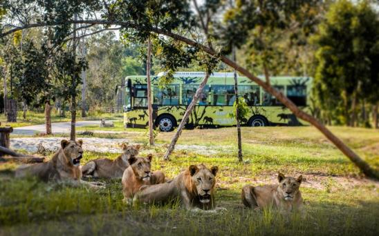 Một ngày vào vai “nhà động vật học” giữa “thiên đường hoang dã” Vinpearl Safari - Ảnh 5.