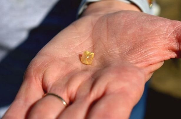 Đang đi dạo bỗng bất ngờ tìm thấy viên kim cương 4 carat trị giá tới 22.000 USD - Ảnh 1.