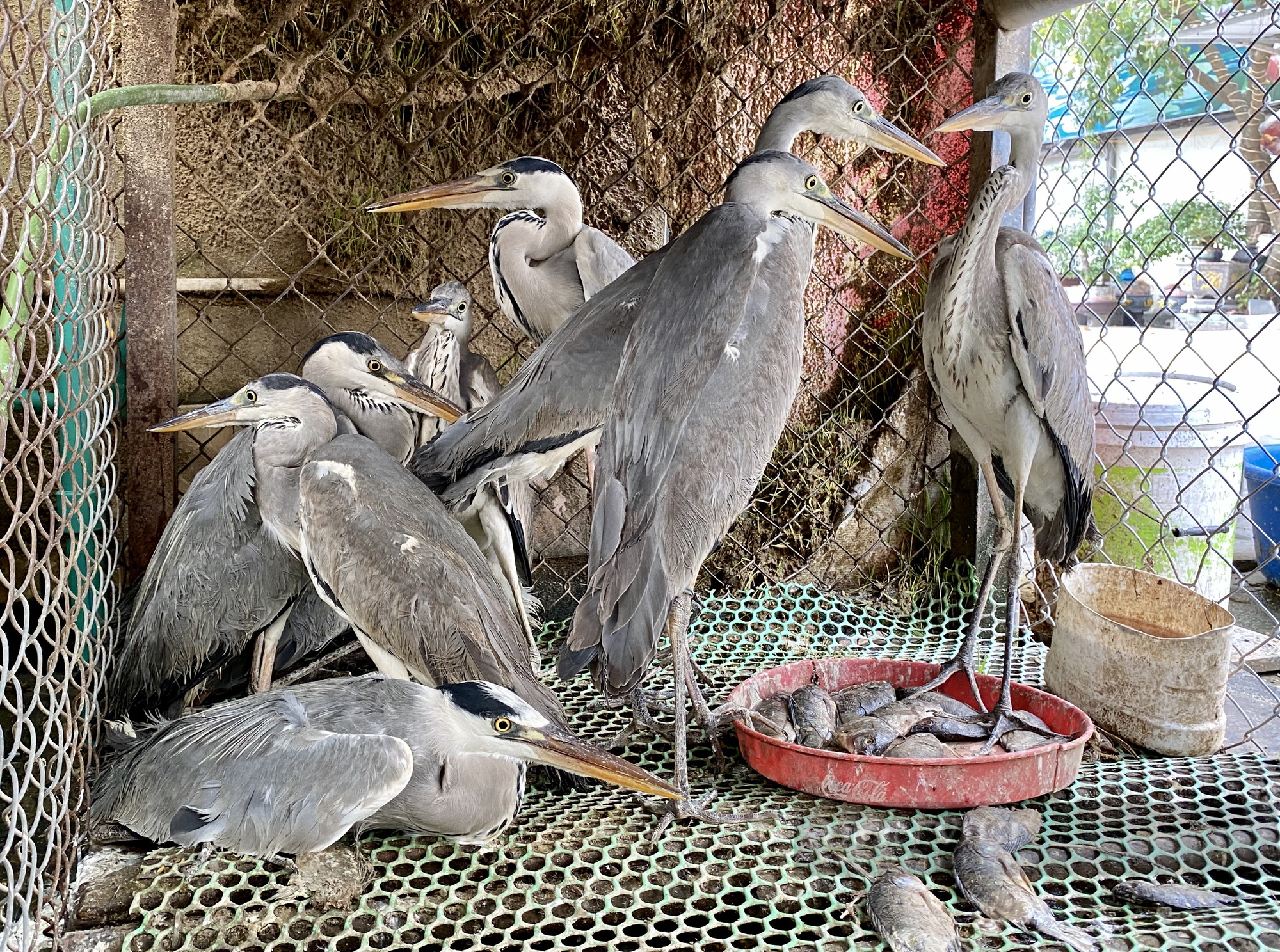 Hội thảo Quốc tế Bảo tồn chim hoang dã: Bộ Tài nguyên và Môi trường hoan nghênh Dân Việt - Ảnh 3.